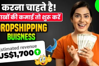 Dropshipping business in hindi
